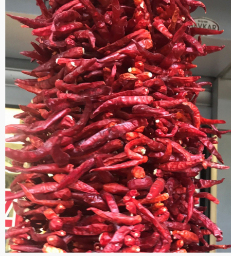 ATOM BİBERİ 1 DİZİ