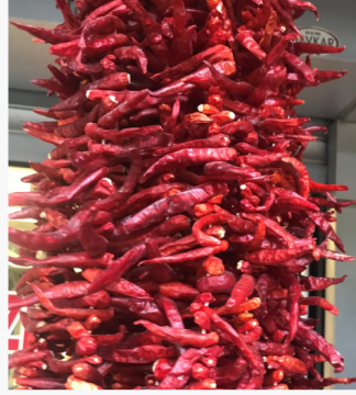 ATOM BİBERİ 1 DİZİ