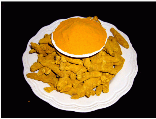 ZERDEÇAL KURU KÖK ÇEKİLMİŞ