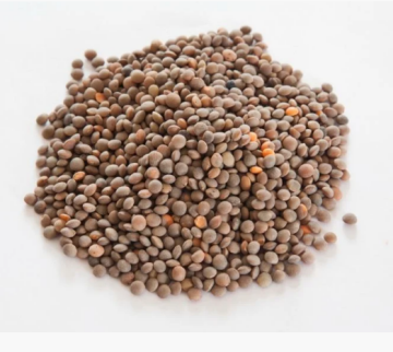 DİRİ ANTEP MERCİMEĞİ